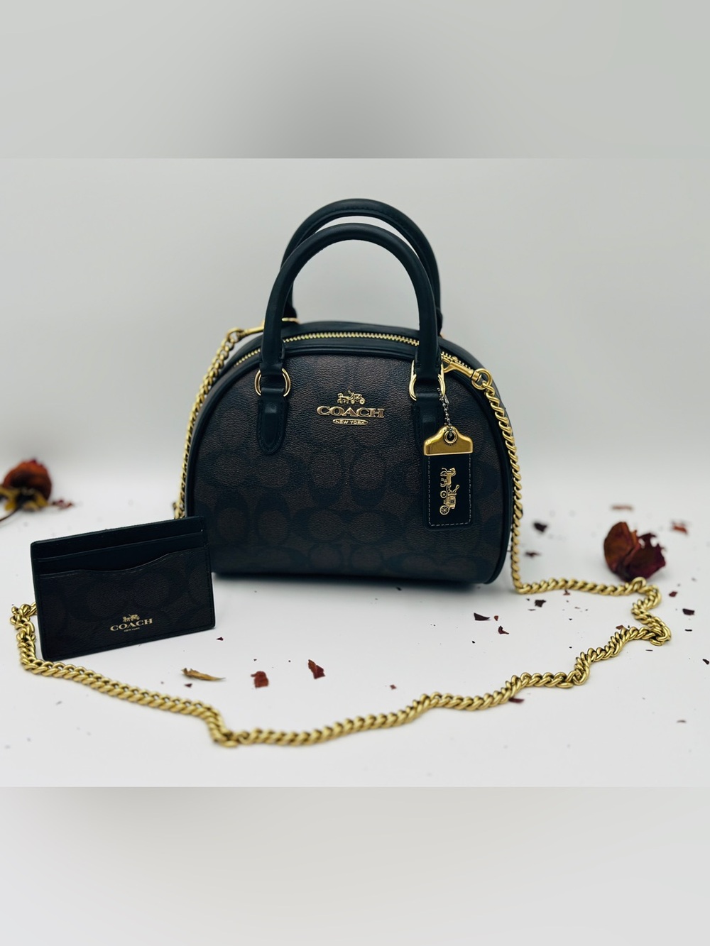 Coach - Sydney Satchel In Signature Canvas